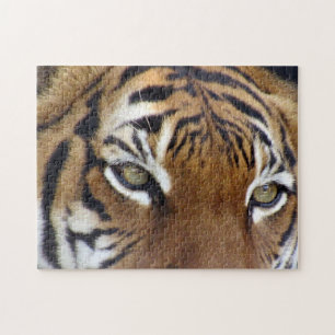 A los ojos de un rompecabezas del tigre