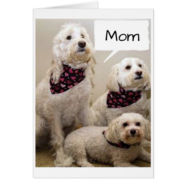 A MAMÁ LE GUSTAN UN **FELIZ CUMPLEAÑOS** POR 3 PUP (Frente)