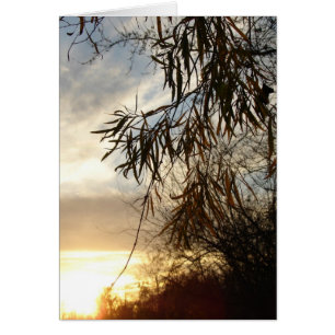 A Medida Que El Sol Se Pone