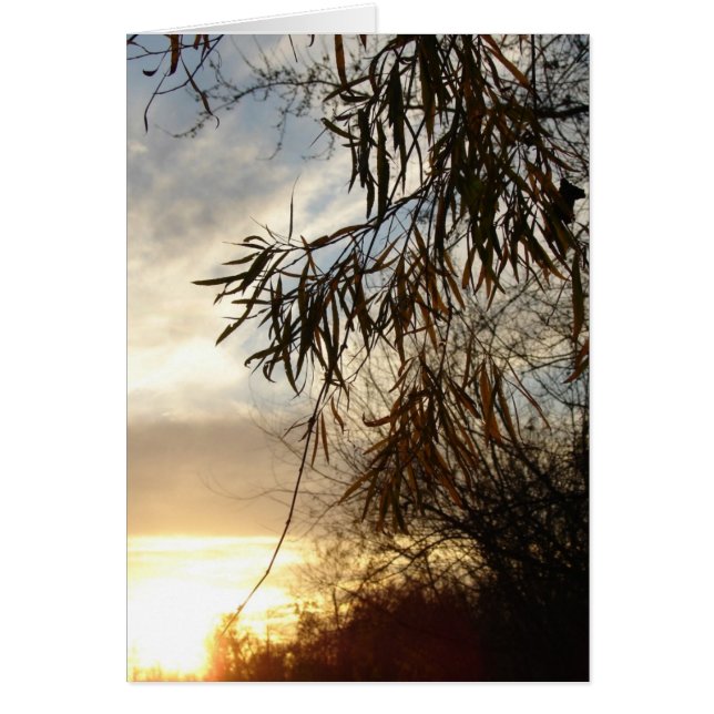 A Medida Que El Sol Se Pone (Frente)