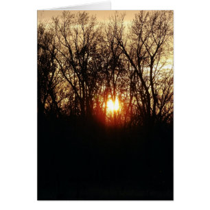 A Medida Que El Sol Se Pone