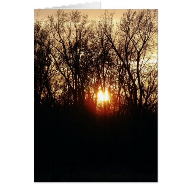 A Medida Que El Sol Se Pone (Frente)