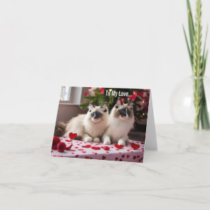 A mi amor - Tarjeta de San Valentín de gato o Navi