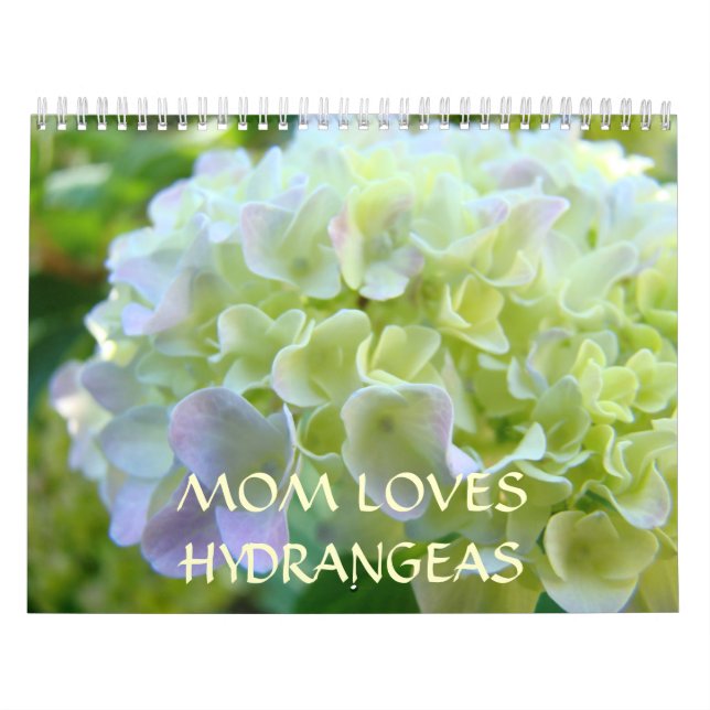 A MOM LE ENCANTAN LOS calendarios HIDRANGEAS Año N (Tapa)
