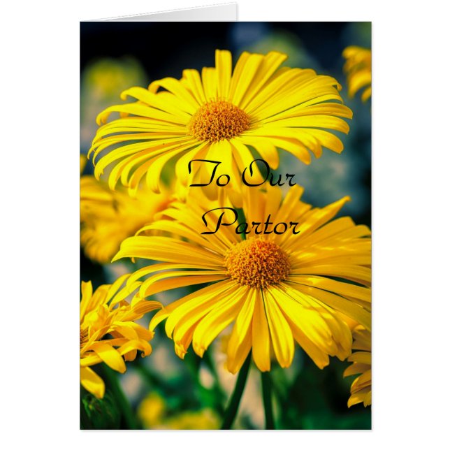 A nuestra Pastora "Dama" (Frente)