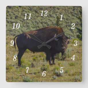 A quién estás mirando el reloj de pared