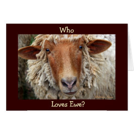 ¿A quién le gusta Ewe? Yo lo hago: San Valentín/cu