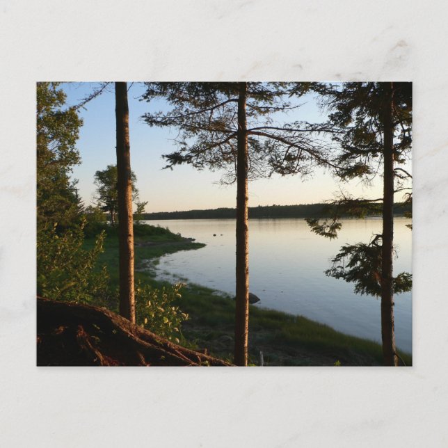 A través de la postal de los Pines (Anverso)