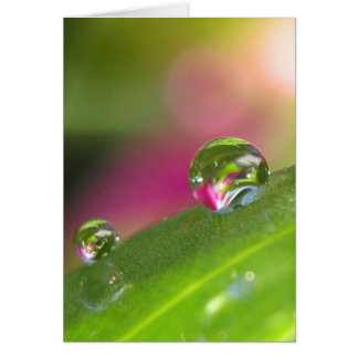 A través de la tarjeta del espejo