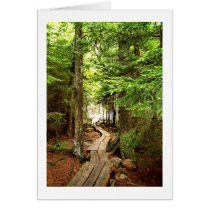 A través de las maderas