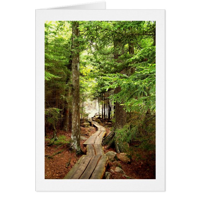 A través de los bosques (Frente)