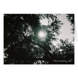 A través del espejo