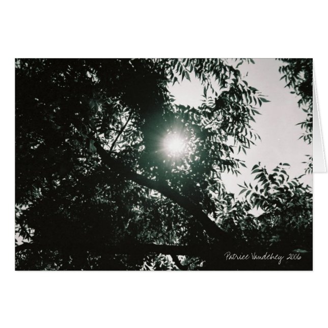 A través del espejo (Anverso (Horizontal))