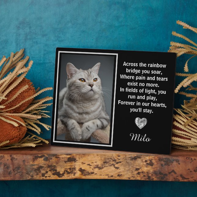 A través del puente del arcoíris Placa conmemorati (Lado)