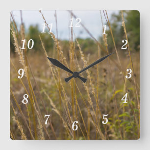 A Través Del Reloj De Pared De Tops De Grass
