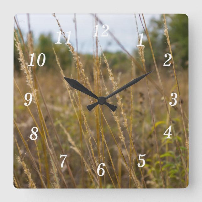 A Través Del Reloj De Pared De Tops De Grass (Anverso)