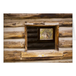 A través y a través de la ventana de cabinas