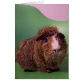 A un caballero distinguido