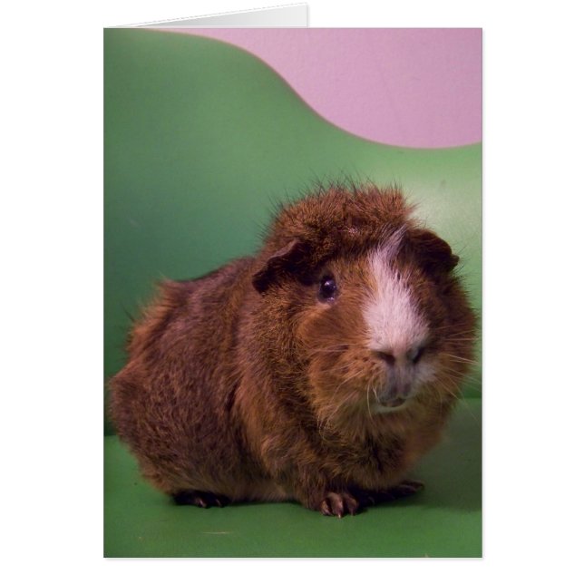 A un caballero distinguido (Frente)