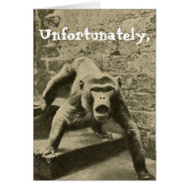 A veces es tu circo, son tus monos