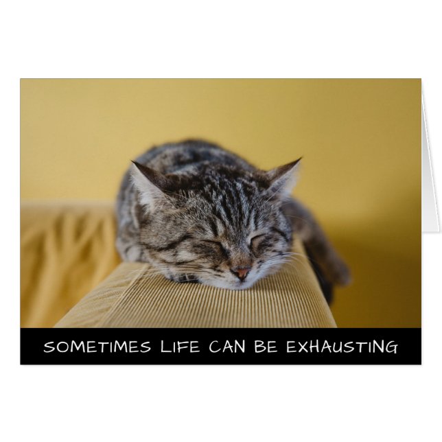 A veces la vida puede ser agotador gato (Anverso (Horizontal))