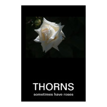 A Veces, Thorns Tiene Rosas Posters Demotivacional