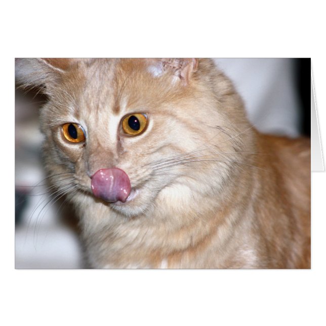 A veces trato de ser normal (Anverso (Horizontal))