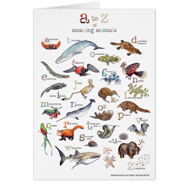 A-Z de animales asombrosos (Frente)