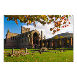Abadía de Melrose, Escocia Foto impresa