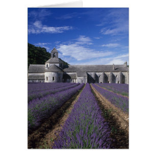 Abadía de Senanque, Gordes, Vaucluse, Provenza,