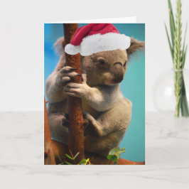 Abajo debajo de koala del navidad