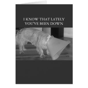 abajo en las descargas