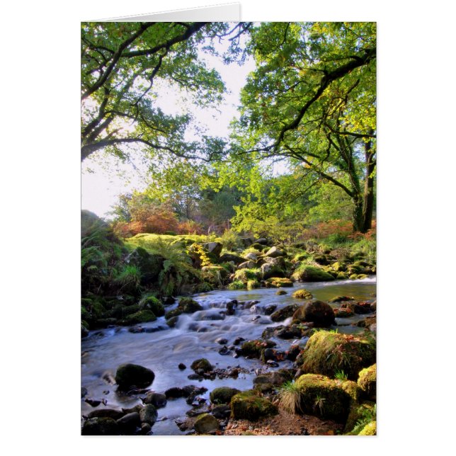 'Abajo junto al río' (Frente)