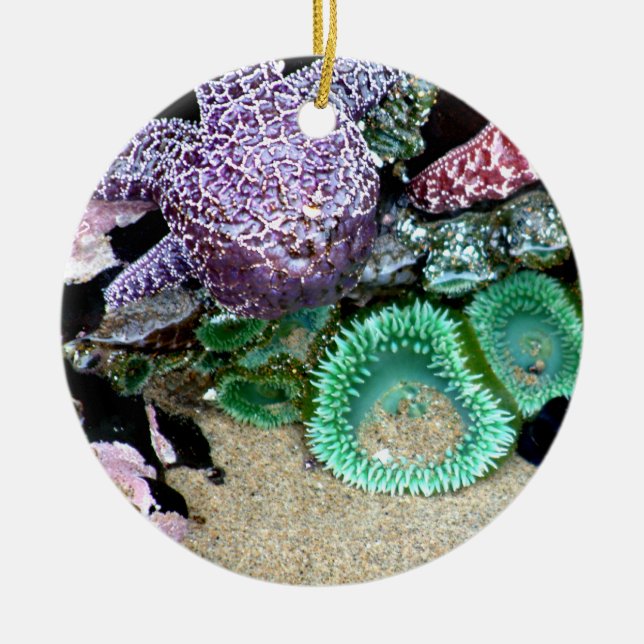 Abajo por el ornamento del navidad del mar (Frente)
