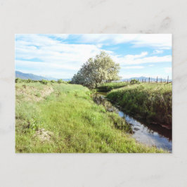 Abajo por la postal de Creek