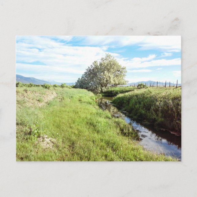 Abajo por la postal de Creek (Anverso)