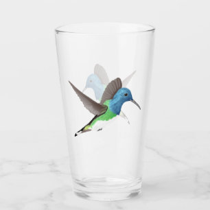 Abandonar a Jacobin Hummingbird - transparente.