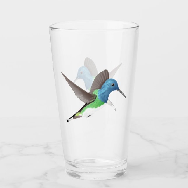 Abandonar a Jacobin Hummingbird - transparente. (Anverso)