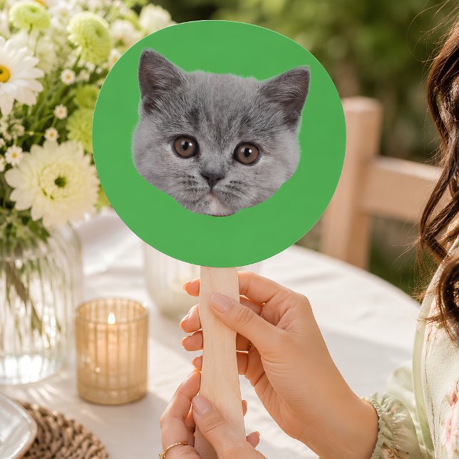 Abanico Cara de gato personalizada para despedida de solte (Subido por el creador)