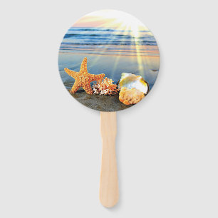 Abanico conchas de mar y estrellas de mar en la playa