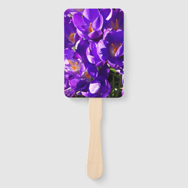 ABANICO CROCUS DE PRIMAVERA (Anverso)