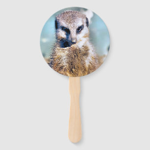 ABANICO CUTE MEERKAT