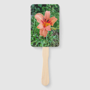Abanico Day Lilly