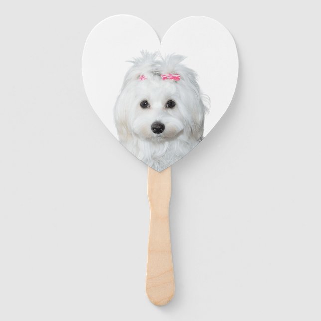 Abanico Etiqueta maltesa blanca de dulzura (Anverso)