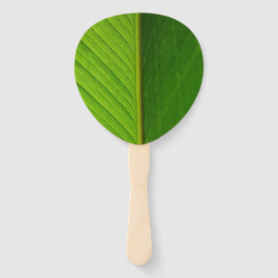 Abanico Fan de la mano