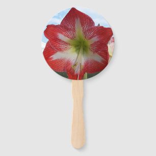 Abanico Flor blanca y roja de Amaryllis contra el cielo