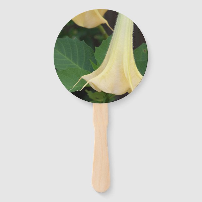 Abanico Flor de trompeta de ángeles amarillos Delicados (Anverso)