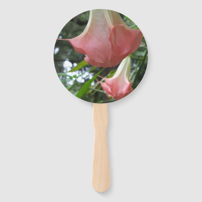 Abanico Flores de trompeta de los ángeles rosados (Anverso)