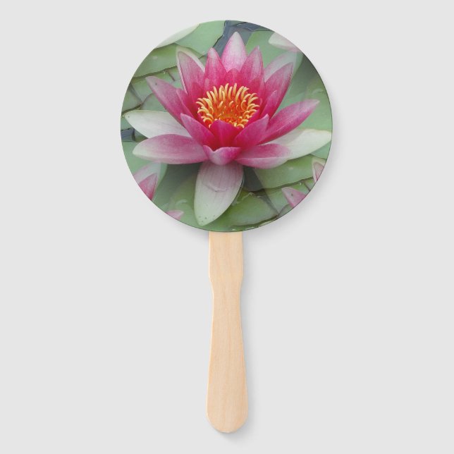 Abanico Lirio de agua de Lotus rosa (Anverso)