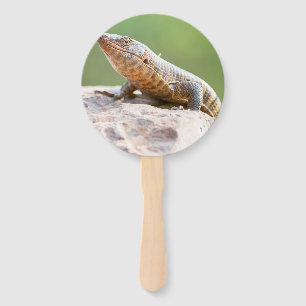 Abanico Lizard colocado